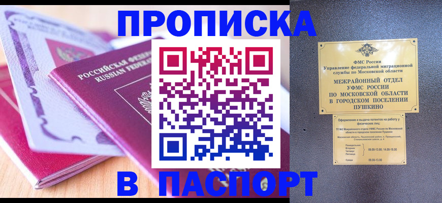 прописка законно в Сальске